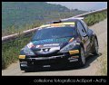 16 Peugeot 207 S2000 M.Runfola - G.Lo Neri (9)